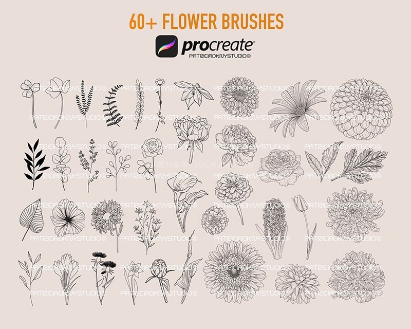 390+植物花卉线描画Procreate笔刷套装